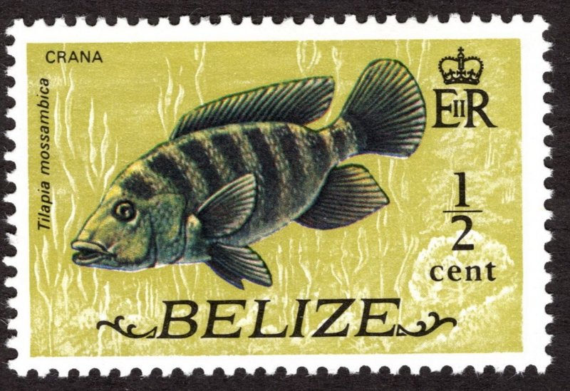 1974, Belize, 1/2c, MNH, Sc 327