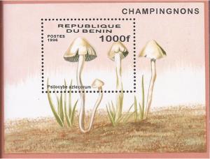 Benin - 1996 Mushrooms - Stamp Souvenir Sheet MNH - Scott #883