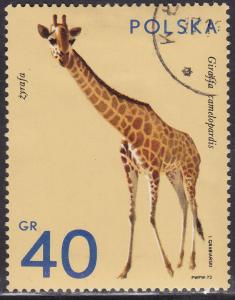 Poland 1889 Giraffe, Wild Game 40GR 1972