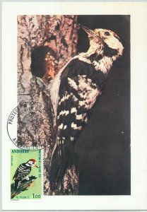 63369 - FRENCH ANDORRA - POSTAL HISTORY: MAXIMUM MAP - BIRDS 1973...-