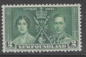 NEWFOUNDLAND SG254 1937 2c CORONATION MNH