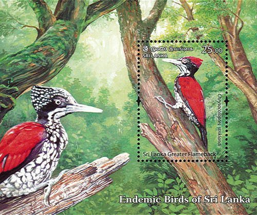 2021 Sri Lanka Endemic Birds (6 SS) (Scott 2285a-2290a) MNH