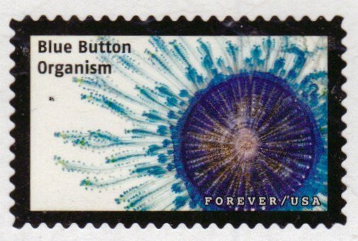 SC# 5802p - 66c - Life Magnified, Blue Button Organism16 of 20 - Used Off Paper