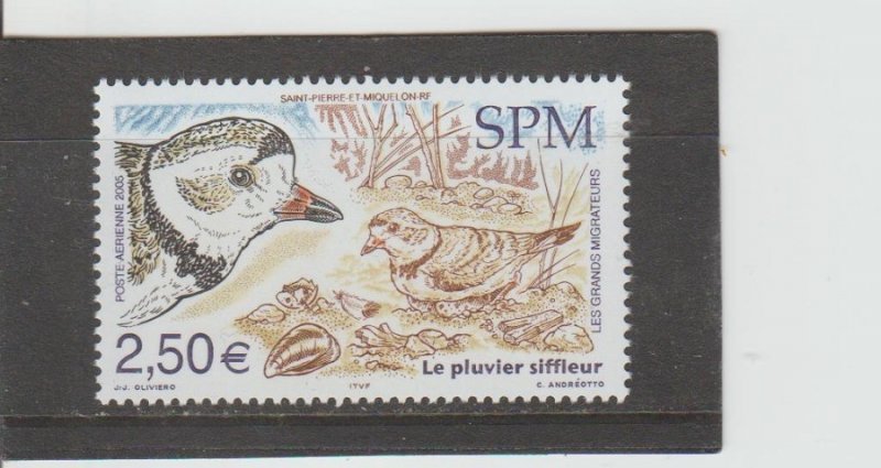 St. Pierre & Miquelon  Scott#  C80  MNH  (2005 Piping Plover)