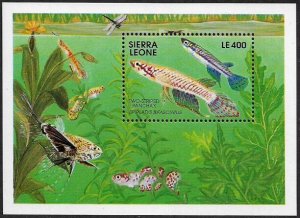 Sierra Leone #1364 MNH Souvenir Sheet - Fishes - Marine Life