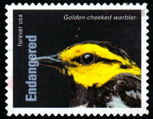 New 2023 - (63c) - Endangered Gold-checked Warbler - 12 of 20 - Used Off Paper