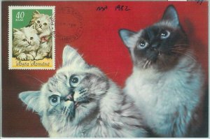 67491 -  ROMANIA  - Postal History -  Maximum CARD 1982 -  CATS cat
