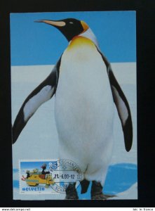 bird penguin maximum card Switzerland 2000