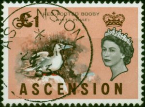 Ascension 1963 £1 Red Footed Booby SG83 V.F.U 1st Day CDS