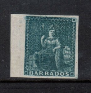 Barbados #6 Extra Fine Mint Full Original Gum Hinged