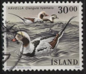 Iceland 666 (used) 30k birds: long-tailed duck (Clangula hymalis) (1988)