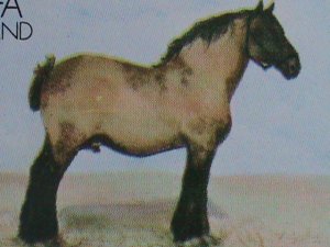 STAFFA-SCOTLAND STAMP:1973- WORLD FAMOUS HORSE MNH SHEET  LAST ONE VF