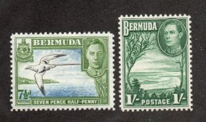 Bermuda - SG# 114b & 115 MH (rem)      -     Lot 0324213