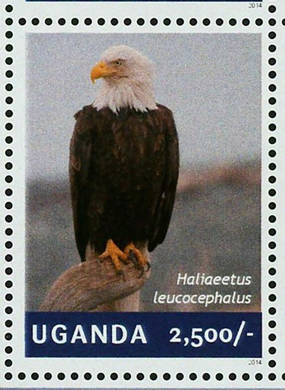 Eagles Stamp Bird Aquila Chrysaetos Harpia Harpya S/S MNH #3260-3263