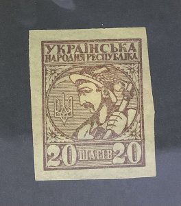 Ukraine 1918 Scott  2 Imperf used- 20sh,  Ukrainian Peasant