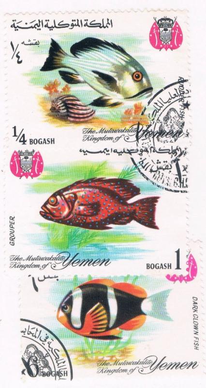 Yemen Used Fish (Y0003)