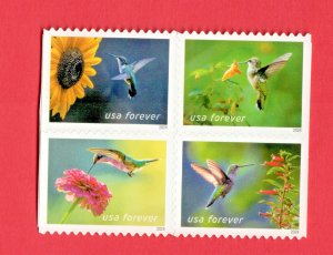 5845-48 Garden delights Block   MNH 2024