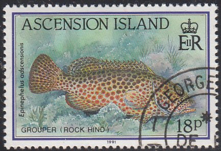 Ascension 1991 used Sc #523 18p Grouper Rock Hind fish