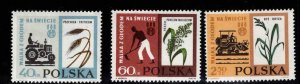 Poland Scott  1112-1114  MNH** Agriculture set