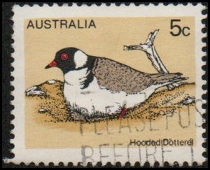 Australia 682 - Used - 5c Hooded Dotterel (1978)