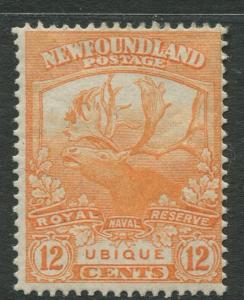 Newfoundland - Scott 123 - Caribou Issue- 1919 - MLH - Single 12c Stamp