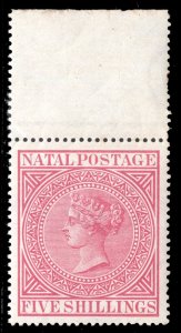 MOMEN: NATAL 5sh 1874-99 CROWN CC MINT OG NH LOT #65001