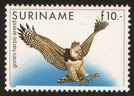 Surinam, Scott 729, MNH, beautiful Harpy Eagle stamp