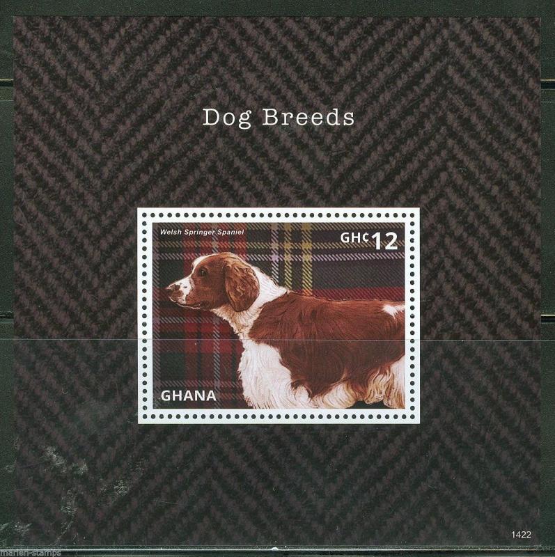 GHANA 2014 DOG BREEDS  WELSH SPRINGER SPANIEL SOUVENIR SHEET   MINT NH