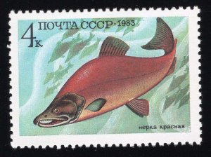 Russia Scott #5164-5168 Stamp - Mint NH Set