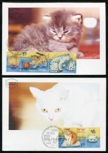 Israel Domestic Animals offspring Cat Rabbit Poultry Eggs  Maxi Mximum Card 2010