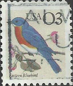 # 2478 USED EASTERN BLUEBIRD    