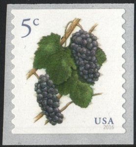 SC#5038 5¢ Grapes Coil Single (2016) SA