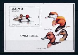 [27247] Belarus 1996 Birds Vögel Oiseaux Ucelli  MNH Sheet