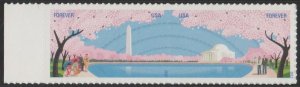 4651-52, Pair, Cherry Blossoms, MNH. Forever.