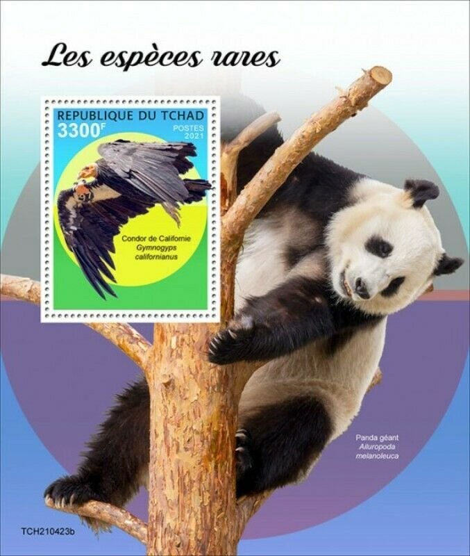 Chad - 2021 Rare Species, California Condor - Stamp Souvenir Sheet - TCH210423b 