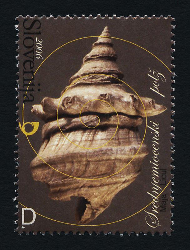 Slovenia 659 MNH Pereiraea Gervaisi Fossil, Shell