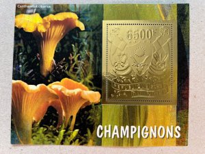 Stamps. Plants,Mushrooms  5 blocks Foil Gold perforated NEW 2023 year