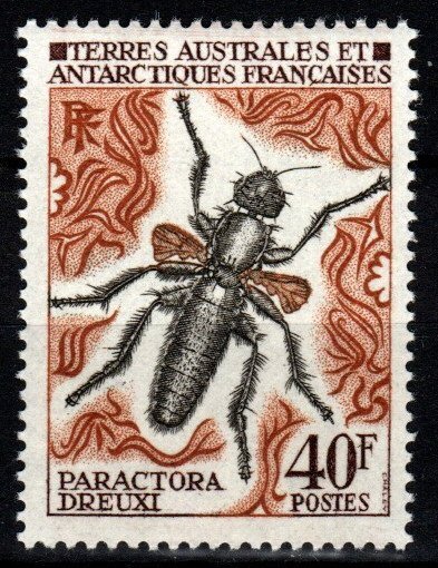 FSAT #50  MNH CV $7.50