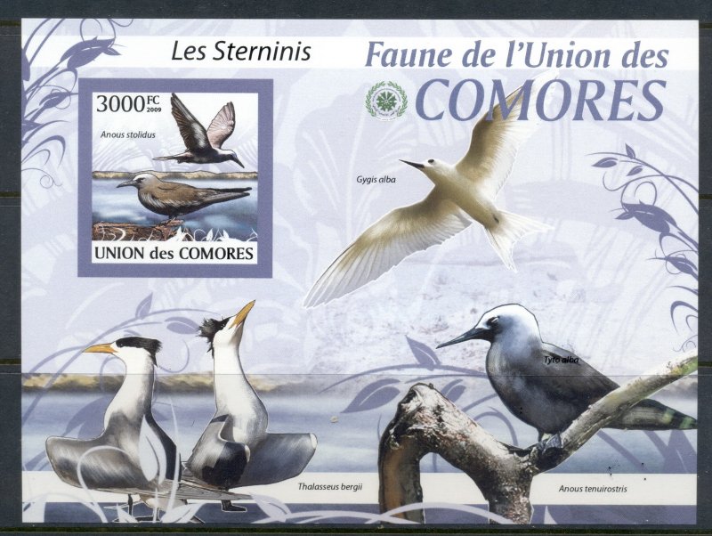 Comoro Is 2009 Birds, Terns MS IMPERF MUH