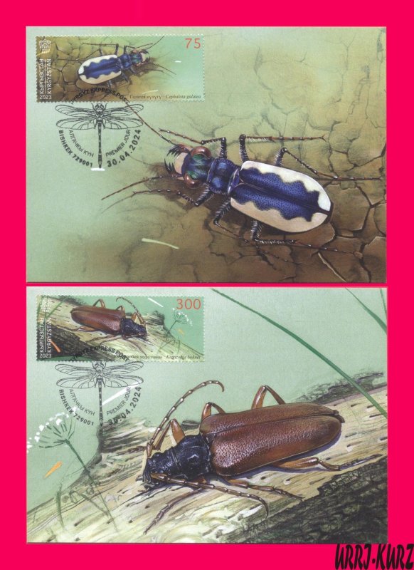KYRGYZSTAN 2023-2024 Nature Fauna Insects Beetles 2 Maxicards Maximum Cards