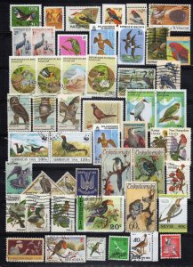 Birds Stamp Collection Mint/Used Wildlife Owls Robins Nature ZAYIX 0424S0312