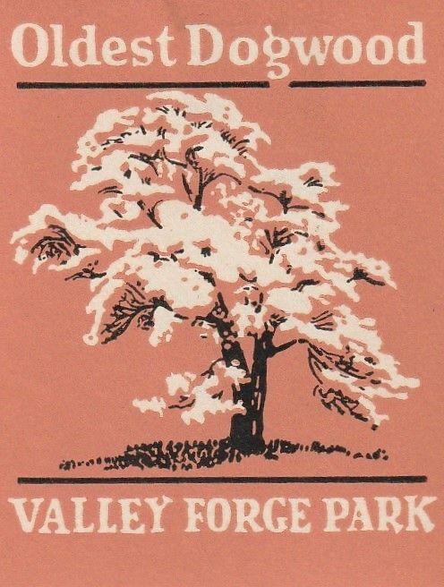 Great Valley Forge, Pennsylvania set of 12 US  Poster Stamps. C1930's. 45x58mm