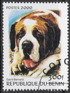 Benin Saint-Bernard CTO