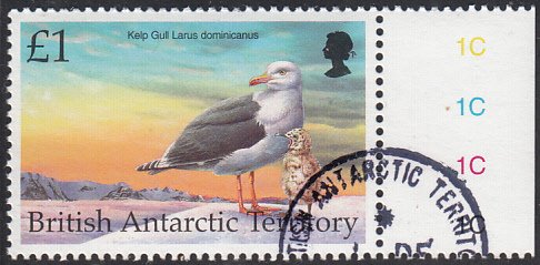 British Antarctic Territory 1998 used Sc #272 1pd Kelp gull Birds