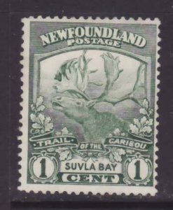 Newfoundland-Sc#115- id20-unused og NH 1c green Suvla Bay-Caribou-1919-