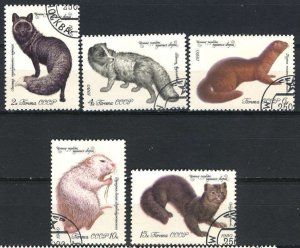 Russia; 1980: Sc. # 4838-4842; Used CTO Cpl Set