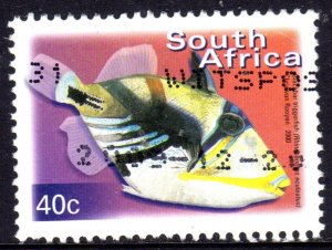 SOUTH AFRICA FISH USED
