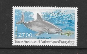 SHARK - FRENCH SOUTHERN ANTARCTIC TERRITORIES #242  MNH