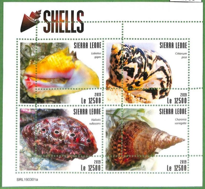 A2533 - SIERRA LEONE - ERROR: MISPERF Miniature s - 2019 Sea Shells, Marine Life