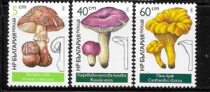 Bulgaria 1987 Mushrooms Sc 3232,3236-3237 MNH A754